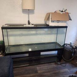 150 Gallon Tank With Accessories 