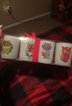 Owl