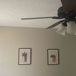 3 Flower Framed Prints 16 1/2x13