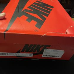 Air Jordan 1 Silver Toe 