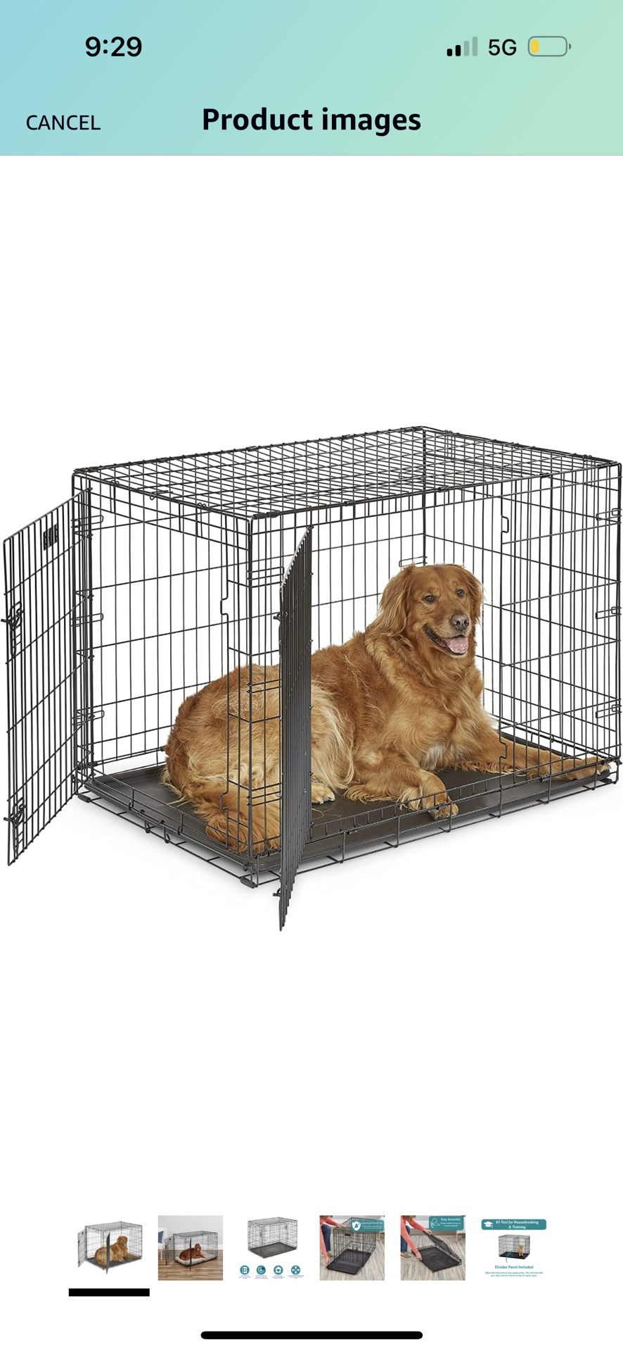 Dog Kennel