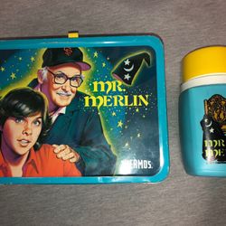 Mr. Merlin Lunchbox