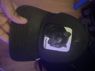 Goorin Bros Trucker Hat (Panther)