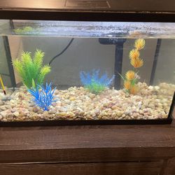 10 gallon fish tank comes with lights and filter and thermometer.
