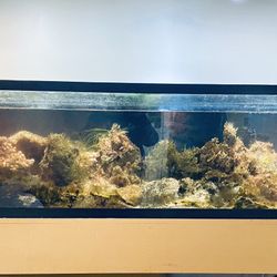 Spacious 210-Gallon Saltwater Aquarium - Starfire Glass - Best Offer