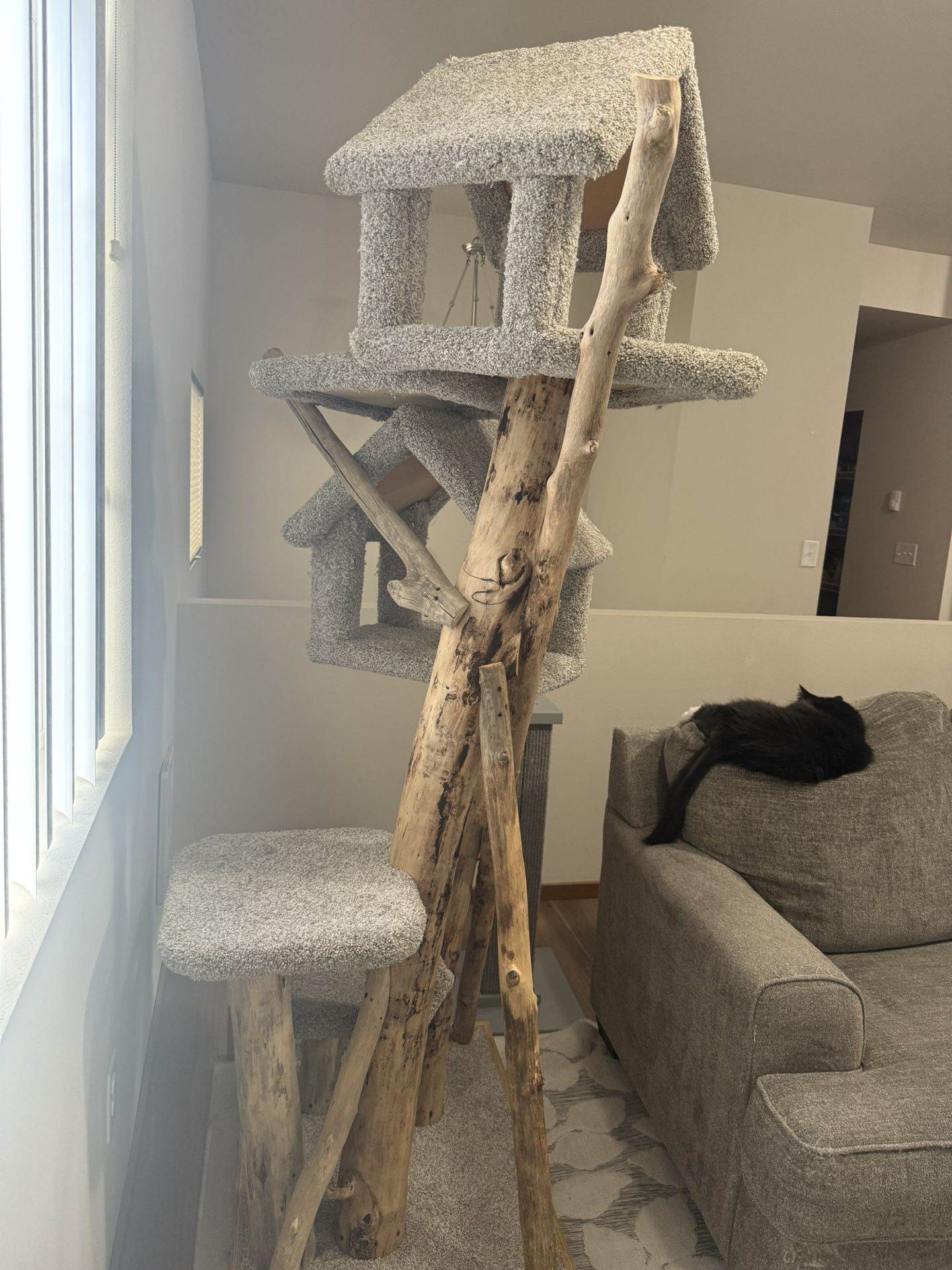 Shelf Cat Tree