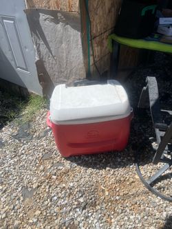 Igloo Island Breeze 28-quart cooler