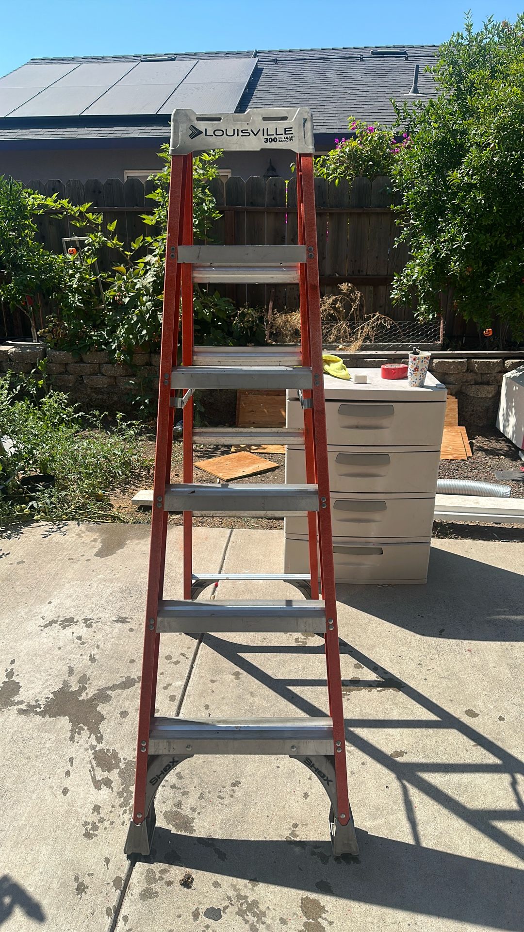 6 Foot Latter (supports 300lbs)