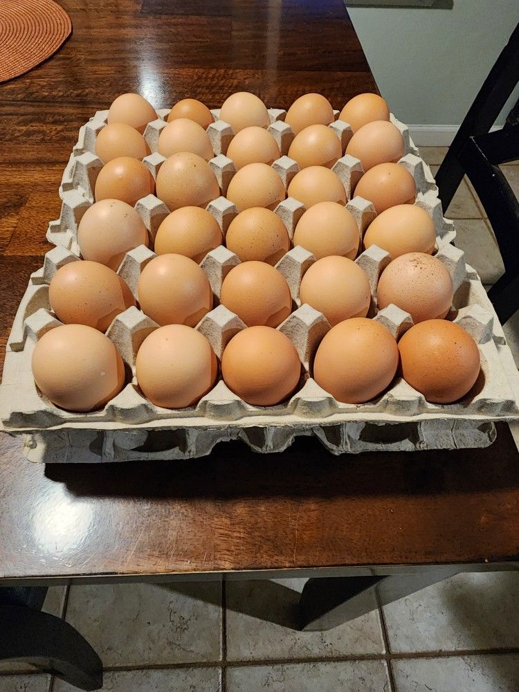 Huevos Frescos Fresh Eggs
