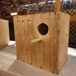 Bird Breeding Boxes