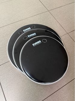 Evans Hydraulic Black Drum Heads – Set of 3