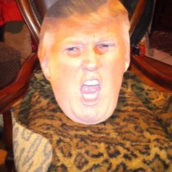 Trump Mask