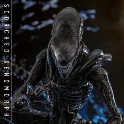 Hot Toys 1/6 Alien: Romulus Scorched Xenomorph Figure MMS784