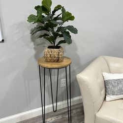 Wood /iron Table With Plant