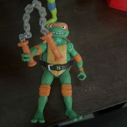 Ninja Turtles 