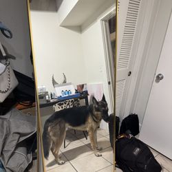  Full-Length Mirror – Excellent Condition