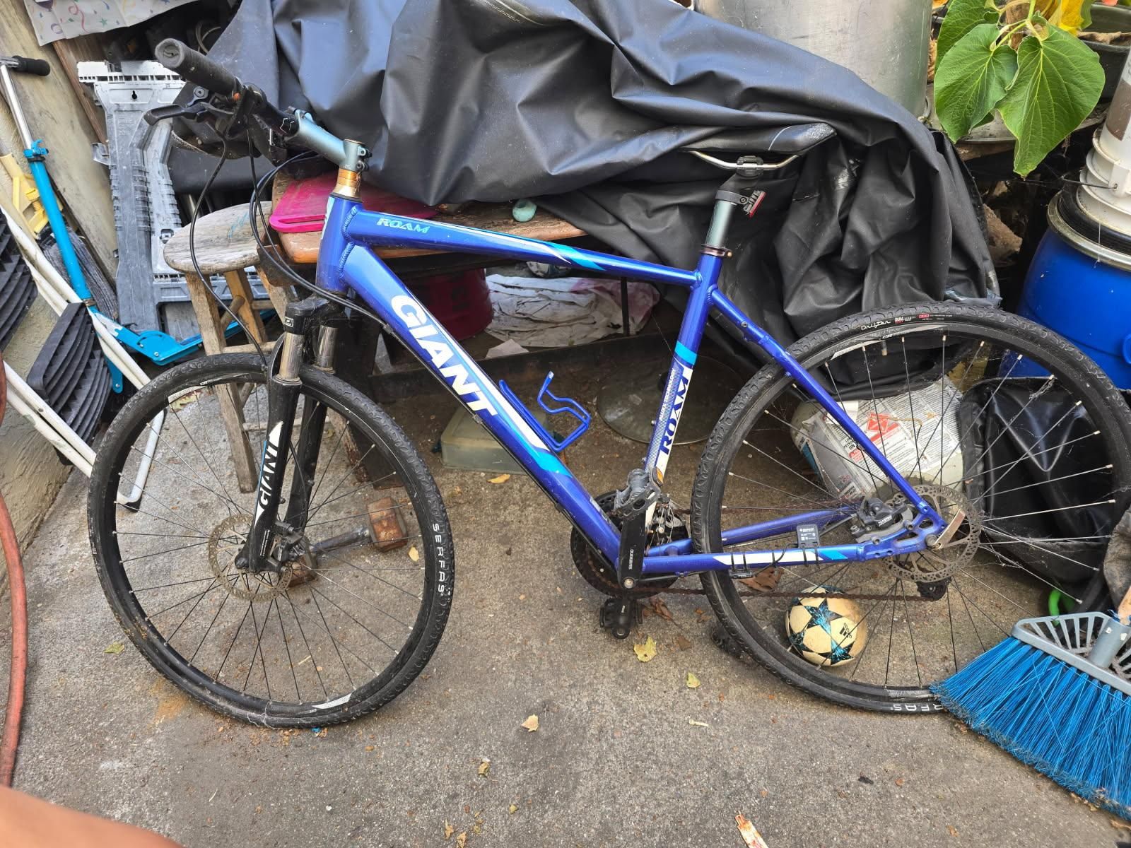 Giant Roam Disc 2 Bike