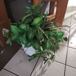 Fake Plant