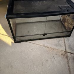 Tank Reptile Lizard Snake Animal