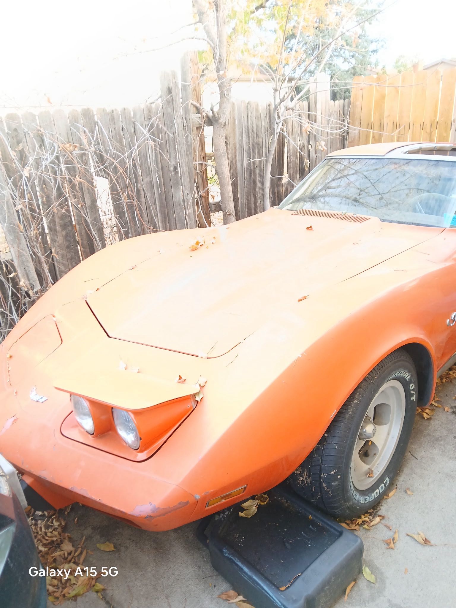 1975 Chevrolet Corvette