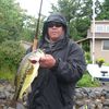 BassinBomber