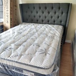 Brand New Queen Bed Frame 