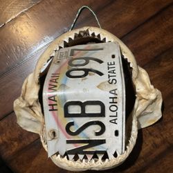 Real Shark Mouth Wall Art