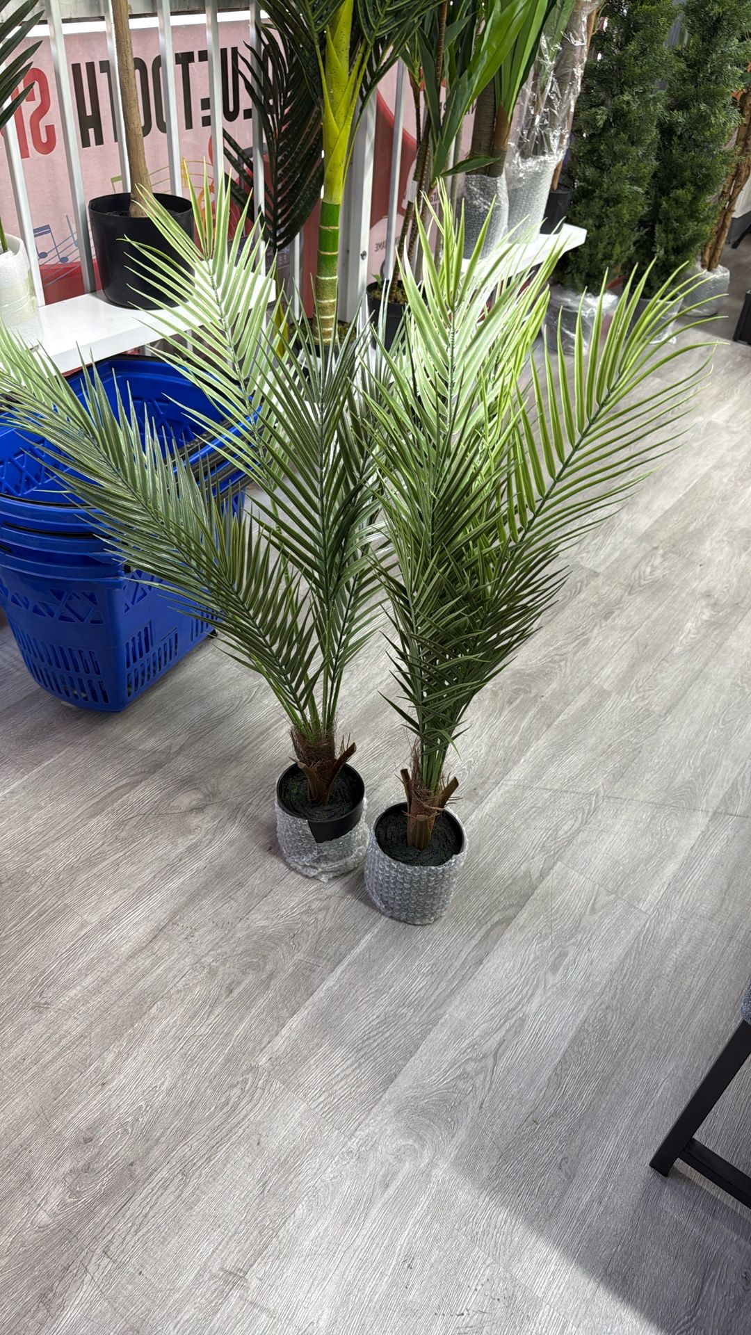 Palms 2 pcs 3 feet new