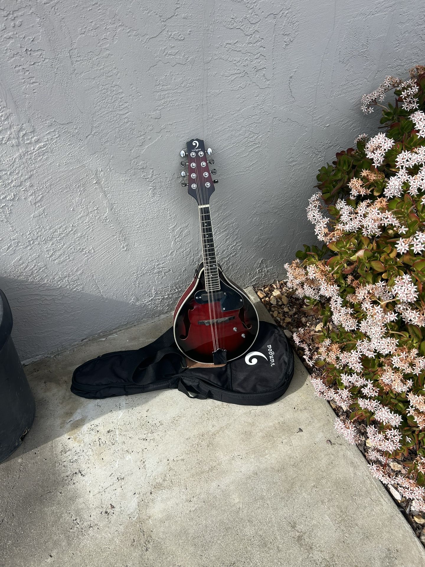 Great 😌 Vangoa A-Style 8-String Acoustic/Electric Mandolin Red Sunburst