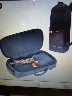 Padded alto sax case bag