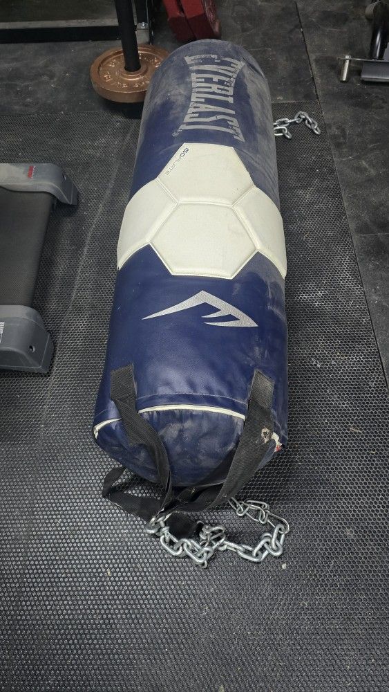 Everlast OmniStrike 80 lb Heavy Bag