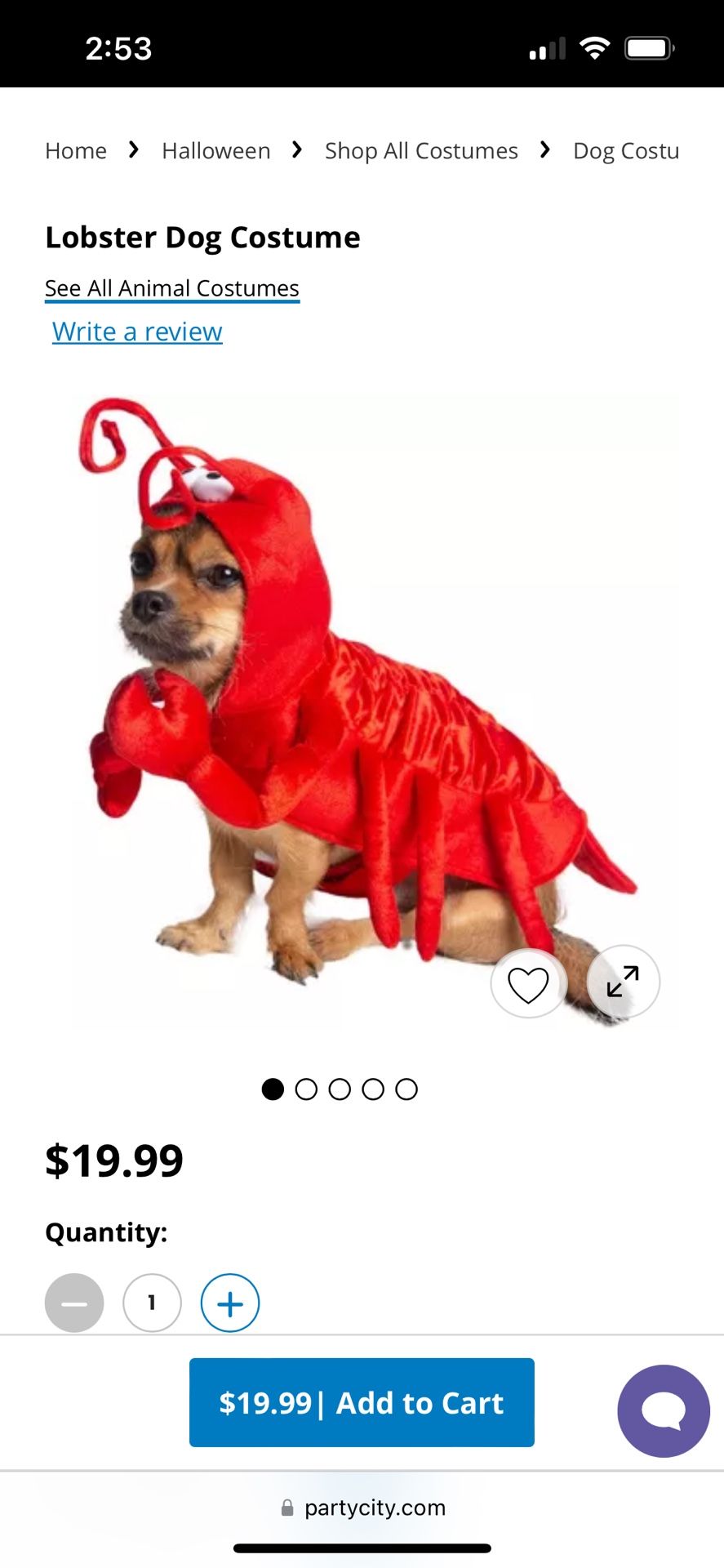 Lobster Dog Costume