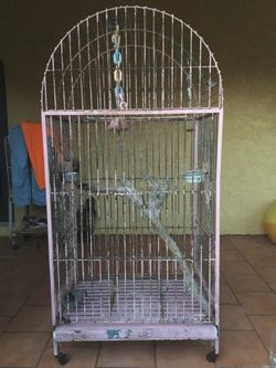 Cages $125.00  EACH, CASH TEXT FOR PRICES.
