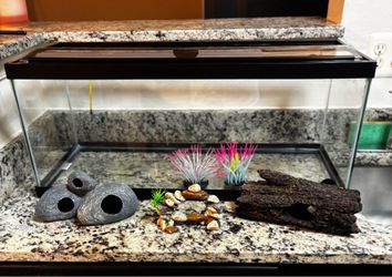 Fish Tanks - 20 Gallon and 10 Gallon