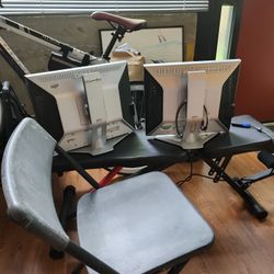 2 Dell Monitors Working 