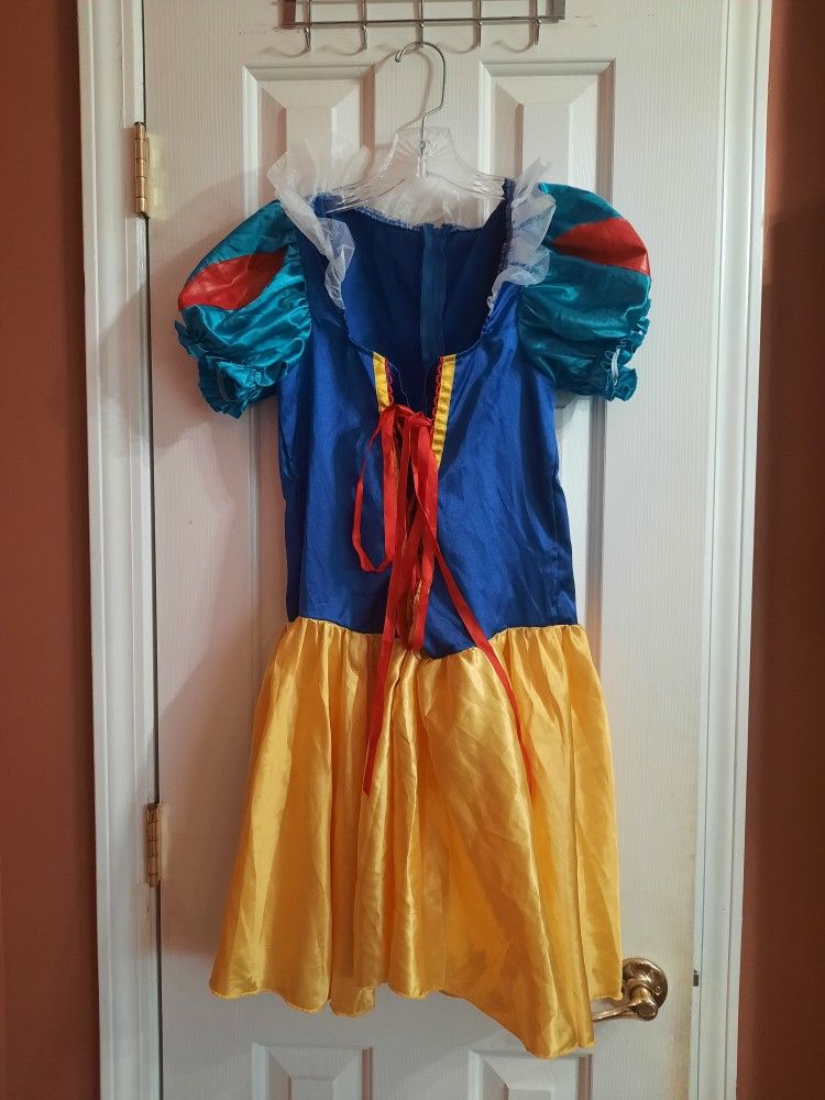 Disney Snow White Adult Dress
