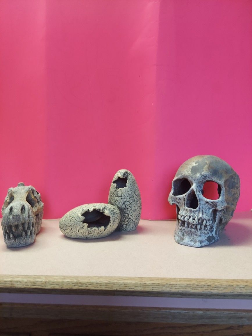Aquarium Decorations