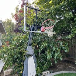 Basketball Hoop