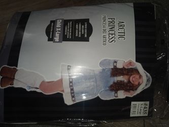 Artic Princess Costume