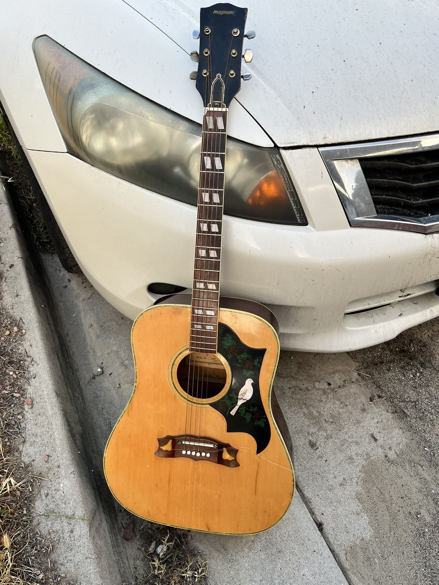Old Guitar 