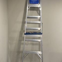 8 Foot ladder 