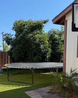 Free Trampoline