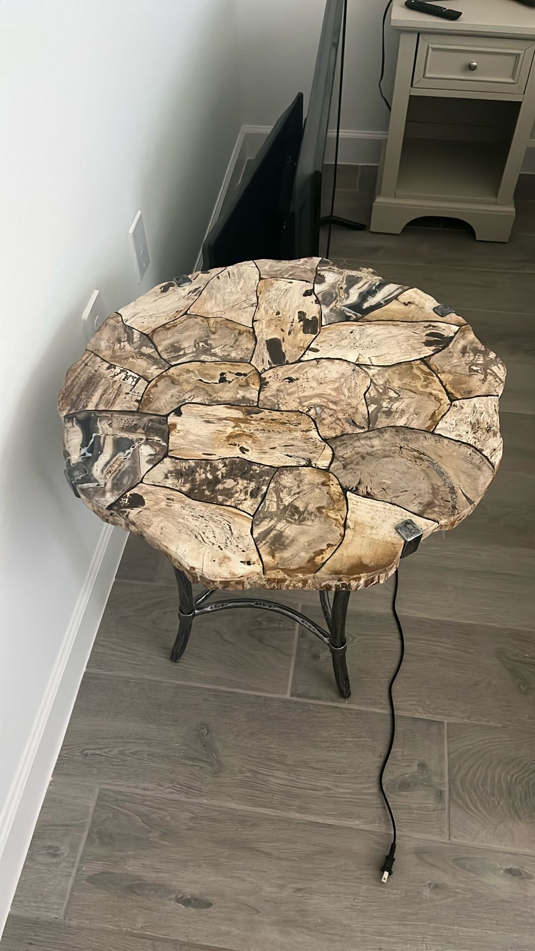 Arhaus Furniture Petrified Wood End Table
