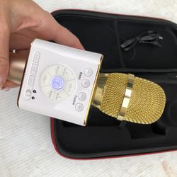 Portable wireless karaoke microphone. 