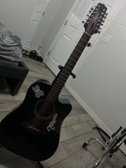 12 string takamine