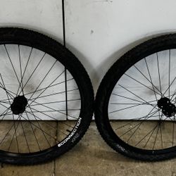 29” Wheelset And Tires 