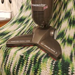 Poweredge Pet Bissell