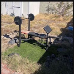 Weight Bench With Weights 