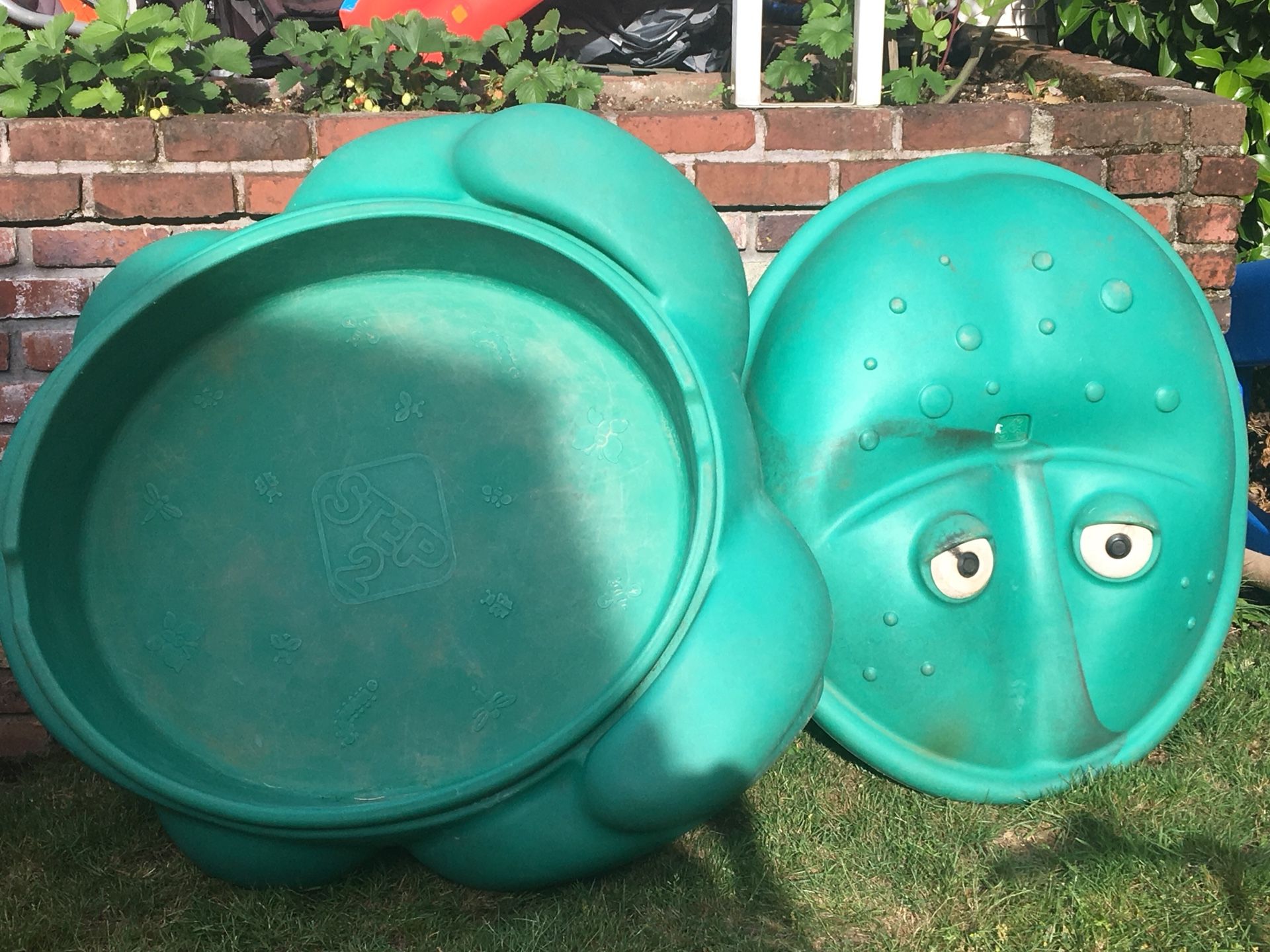 Frog sandbox (we used for pool)