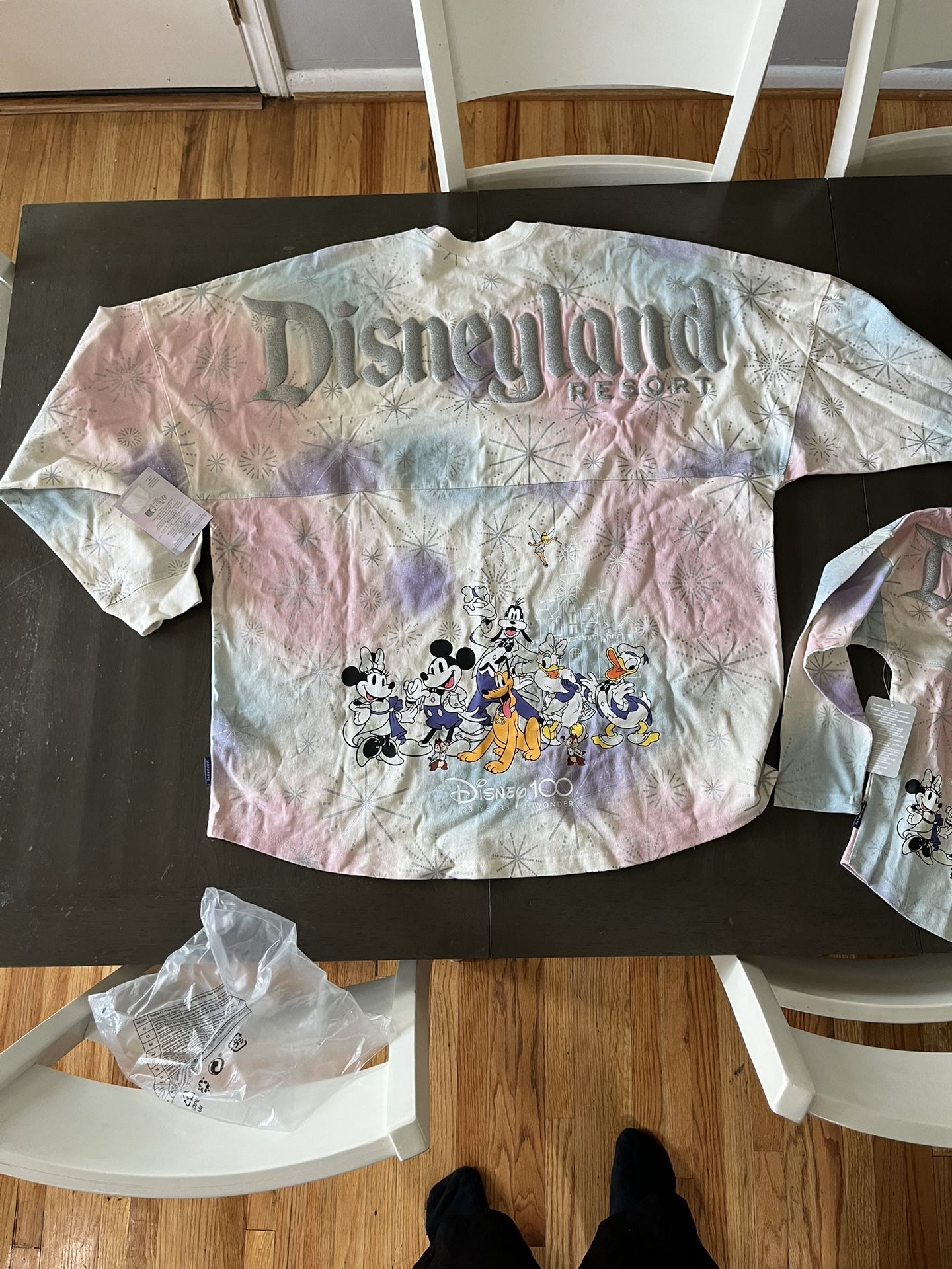 Disney Spirit Jersey